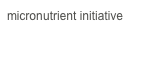 micronutrient initiative 